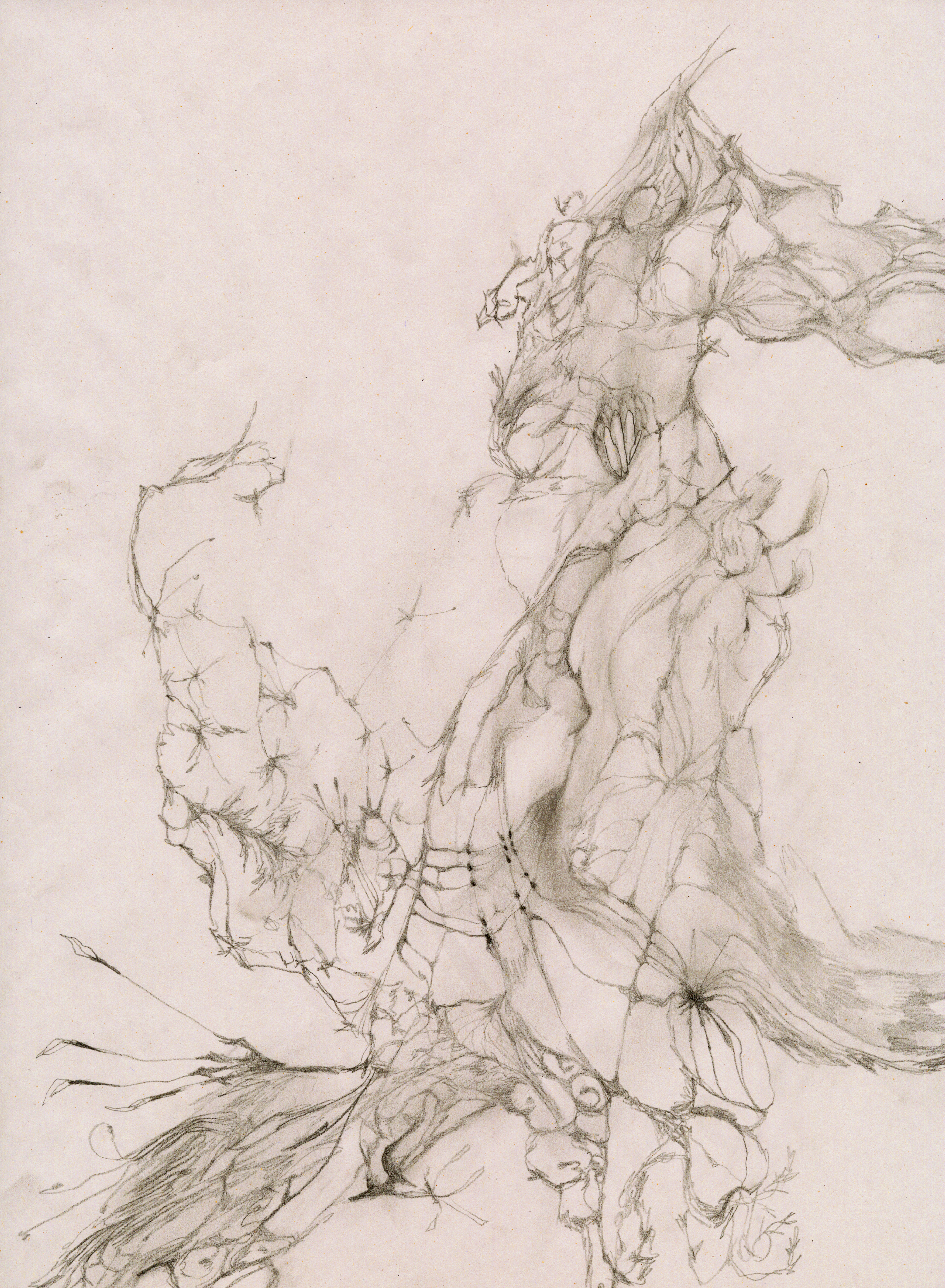 pencil drawing